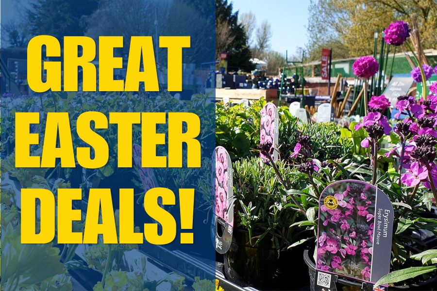 Oxford Garden Centre Easter garden and furniture deals article cover graphic